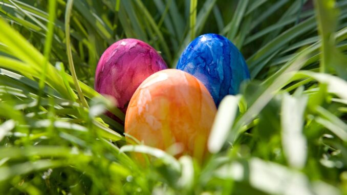 Ilustrační foto. Zdroj: Pixabay.com