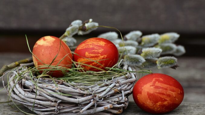 Ilustrační foto. Zdroj: Pixabay.com