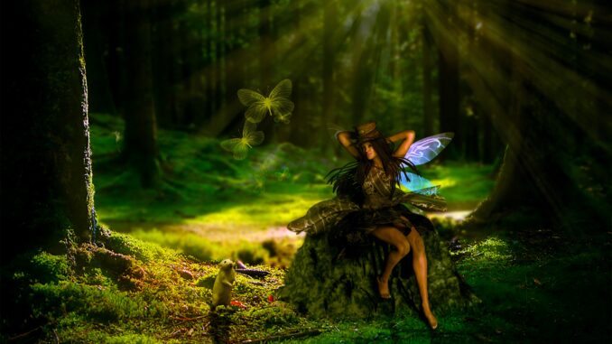 Ilustrační foto. Zdroj: Pixabay.com