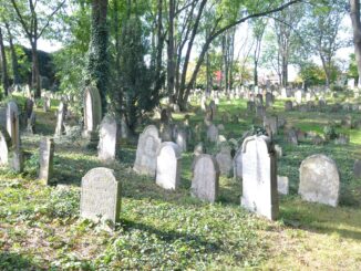 Starý židovský hřbitov Kolín. Foto: Wenceslaus Opletal