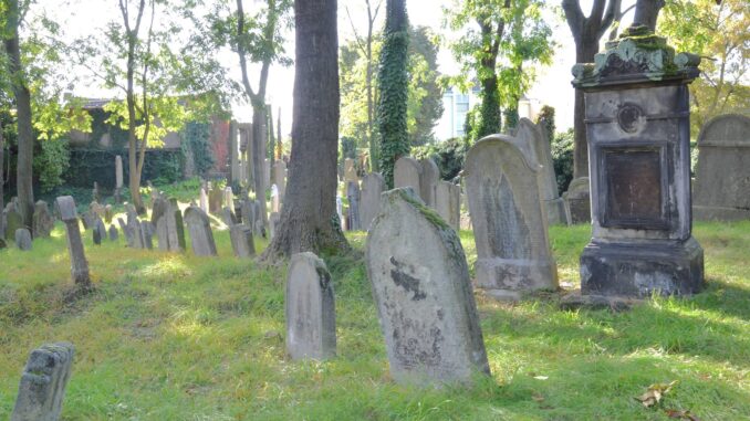 Starý židovský hřbitov Kolín. Foto: Wenceslaus Opletal