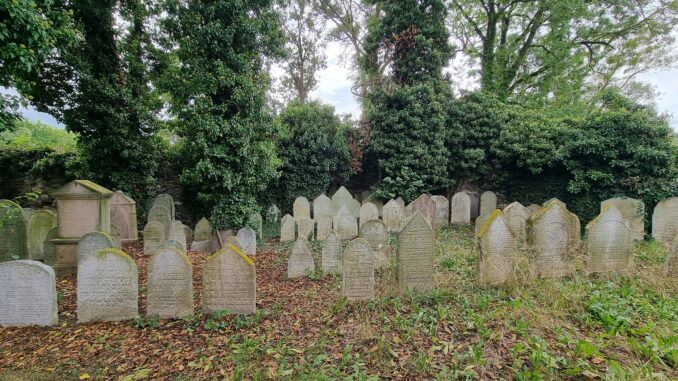 Starý židovský hřbitov v Sušici. Foto: Eva Audiová