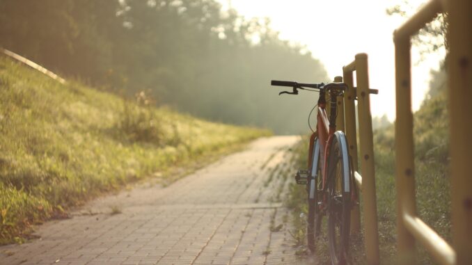 Ilustrační foto. Zdroj: Pixabay.com