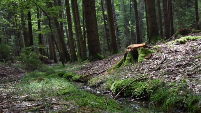 Zdroj foto: FB Fotosen