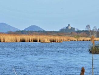 Novozámecký rybník. Foto: Wenceslaus Opletal