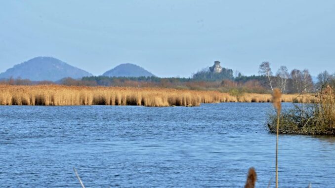 Novozámecký rybník. Foto: Wenceslaus Opletal