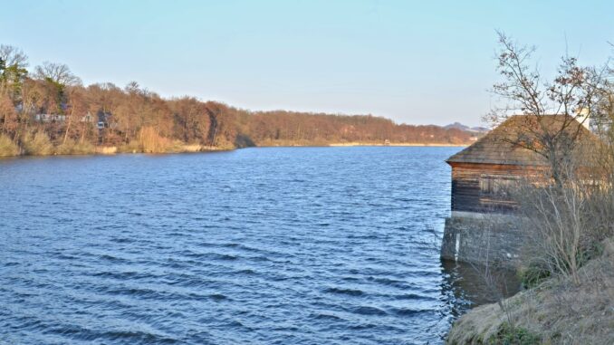  Novozámecký rybník. Foto: Wenceslaus Opletal 