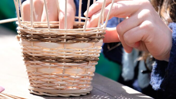 Ilustrační foto. Zdroj: Pixabay.com