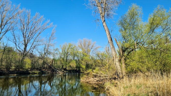 Pístecký les. Foto: Martin Tesař