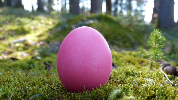 Ilustrační foto. Zdroj: Pixabay.com