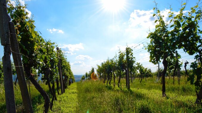 Ilustrační foto. Zdroj: Pixabay.com