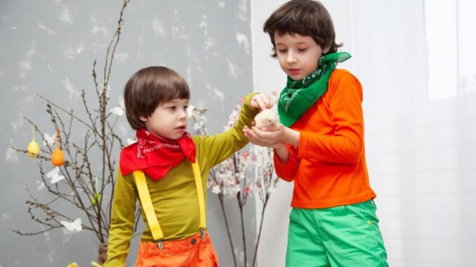 Ilustrační foto. Zdroj: Pixabay.com