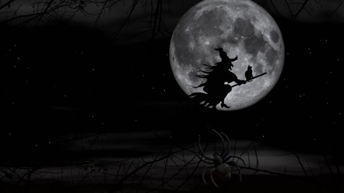 Ilustrační foto. Zdroj: Pixabay.com