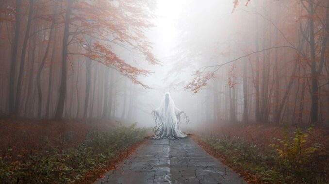 Zdroj foto: Pixabay.com