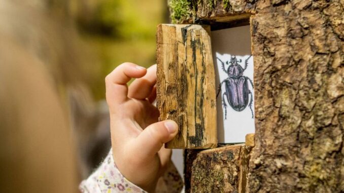 Den otevřených dveří v Domě přírody Českého ráje. Zdroj: AOPK