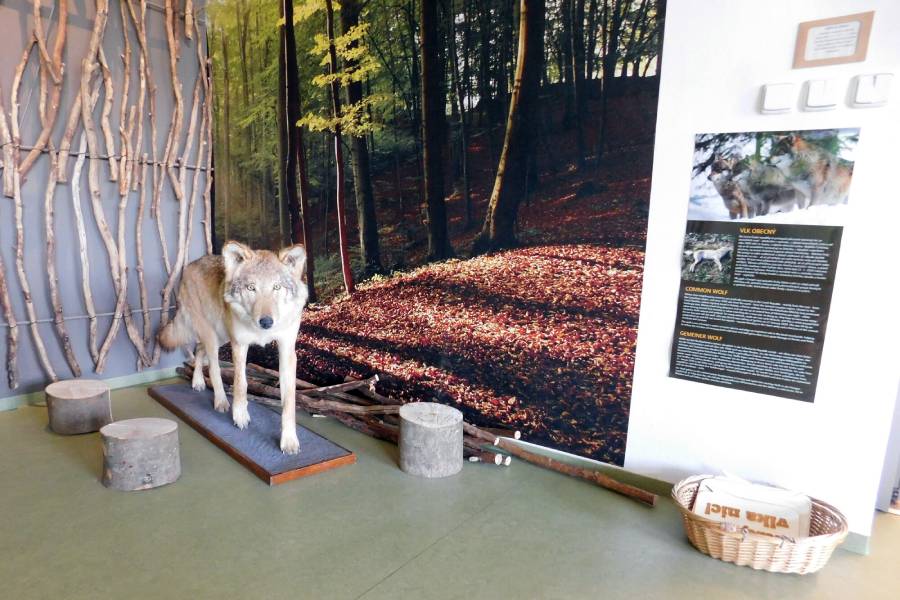 Výstava Soužití s velkými šelmami. Zdroj: AOPK