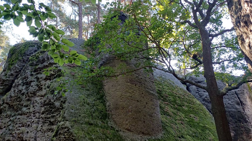 Pískovcové skalní bloky s pozůstatky hradu Pustý zámek na Kokořínsku. Foto: Anna Petruželková