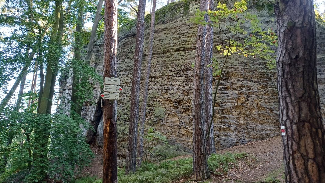 Pískovcové skalní bloky s pozůstatky hradu Pustý zámek na Kokořínsku. Foto: Anna Petruželková