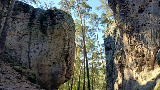 Pískovcové skalní bloky s pozůstatky hradu Pustý zámek na Kokořínsku. Foto: Anna Petruželková