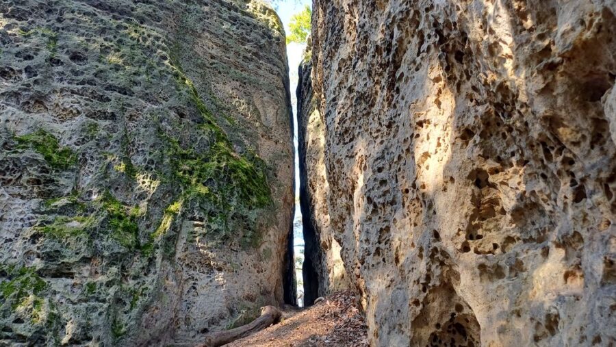 Pískovcové skalní bloky s pozůstatky hradu Pustý zámek na Kokořínsku. Foto: Anna Petruželková