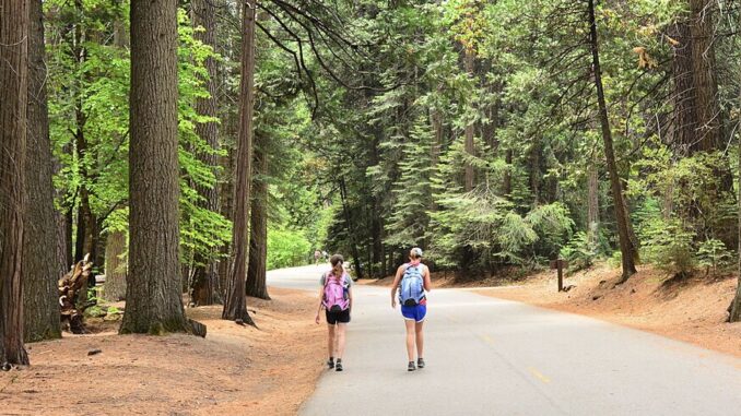 Zdroj foto: commons.wikimedia.org