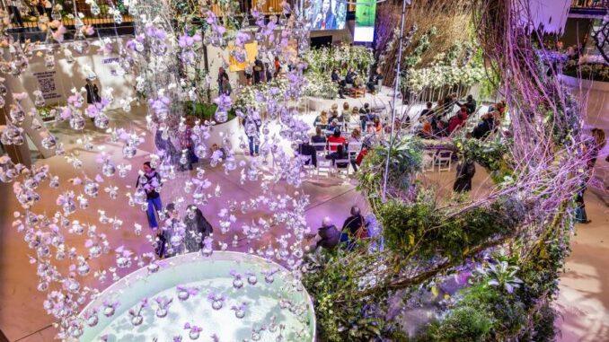 Flora Olomouc na jaře 2025. Ilustrační foto. Zdroj: Výstaviště Flora Olomouc