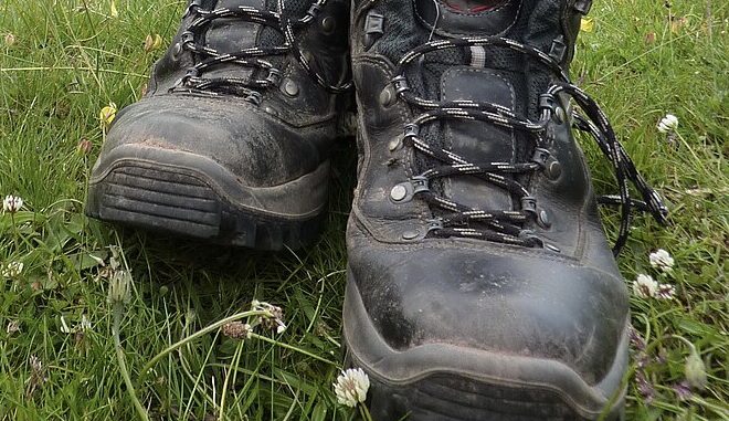 Zdroj foto: commons.wikimedia.org