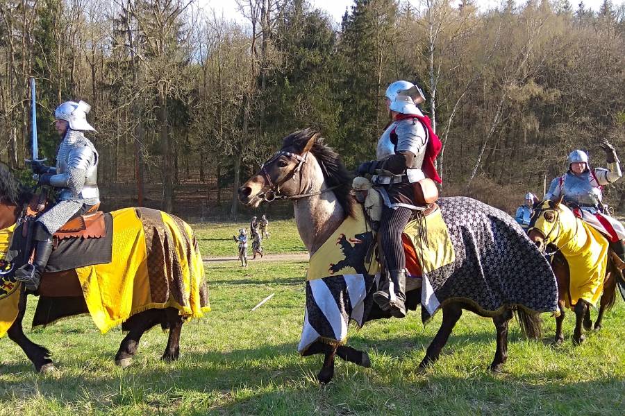 Bitva Libušín. Zdroj: World Medieval Battles 