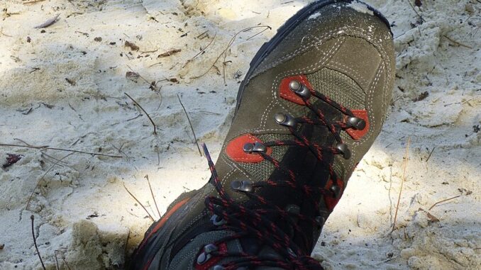 Zdroj foto: commons.wikimedia.org