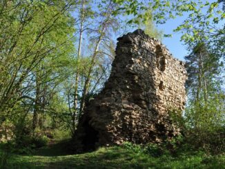 Zřícenina hradu Víckov v Jihomoravském kraji. Foto: Petr Fabian. Zdroj: Hrady-zříceniny.cz