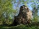 Zřícenina hradu Víckov v Jihomoravském kraji. Foto: Petr Fabian. Zdroj: Hrady-zříceniny.cz
