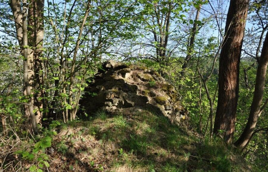 Zřícenina hradu Víckov v Jihomoravském kraji. Foto: Petr Fabian. Zdroj: Hrady-zříceniny.cz