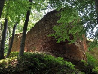 Zřícenina hradu Břecštejn. Foto: Petr Fabian. Zdroj: Hrady-zříceniny.cz