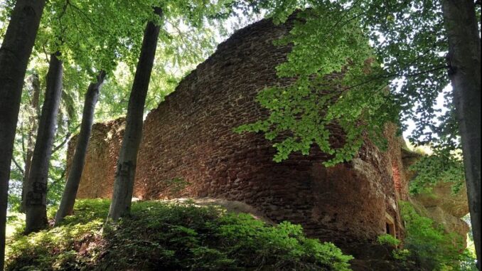 Zřícenina hradu Břecštejn. Foto: Petr Fabian. Zdroj: Hrady-zříceniny.cz