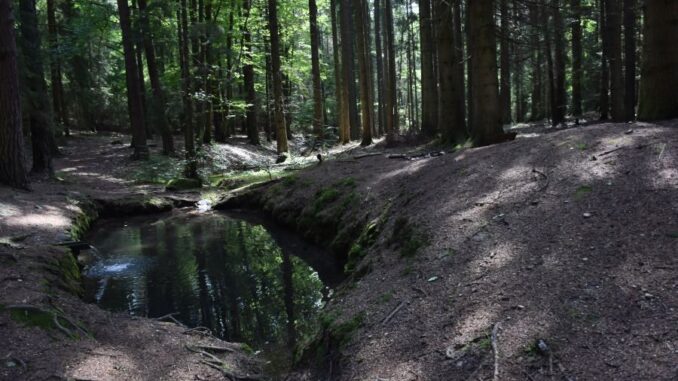 Zdroj foto: FB Fotosen