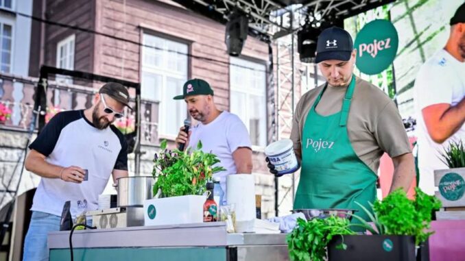 Pojez fest v Dolních Vítkovicích. Zdroj: Moravian-Silesian Tourism Ostrava-Vítkovice