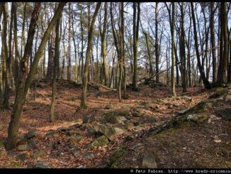 Hrad Kuchlov. Foto: Petr Fabian, www.hrady-zriceniny.cz