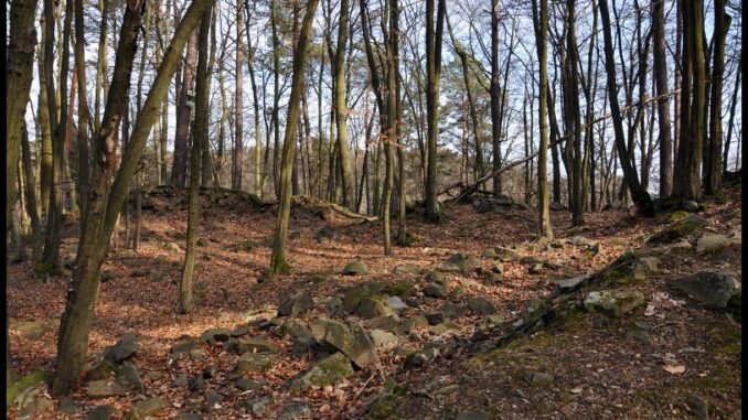 Hrad Kuchlov. Foto: Petr Fabian, www.hrady-zriceniny.cz