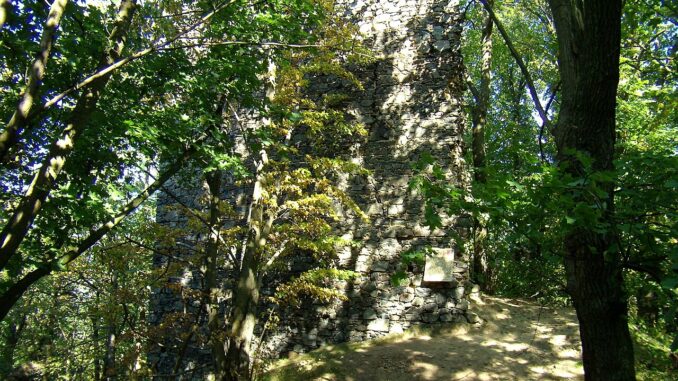 Zřícenina hradu Netřeb.