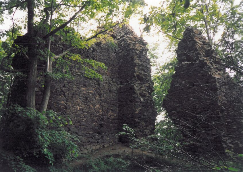 Zřícenina hradu Netřeb.