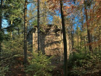 Zřícenina hradu Příběnice. Autor: VitVit. Zdroj: Wikimedia Commons, BY-SA 4.0