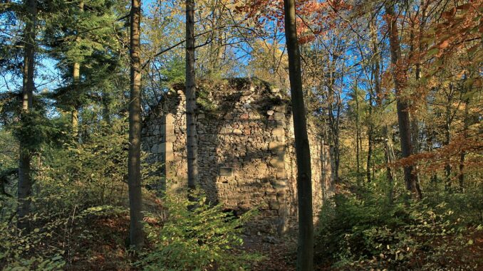 Zřícenina hradu Příběnice. Autor: VitVit. Zdroj: Wikimedia Commons, BY-SA 4.0