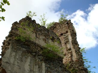 Zřícenina hradu Ronov v okrese Havlíčkův Brod. Autor: Aktron / Wikimedia Commons, licence CC BY-SA 3.0. Zdroj: Wikimedia Commons
