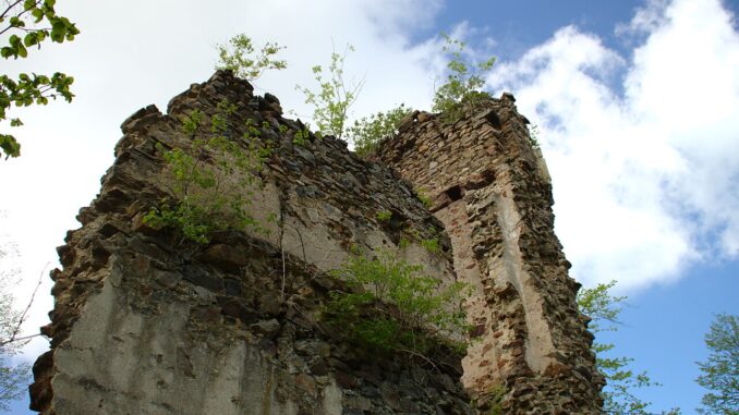 Zřícenina hradu Ronov v okrese Havlíčkův Brod. Autor: Aktron / Wikimedia Commons, licence CC BY-SA 3.0. Zdroj: Wikimedia Commons