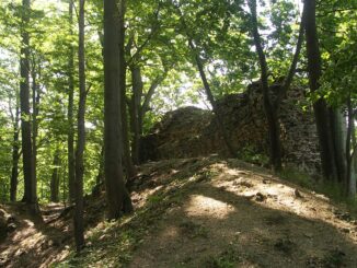 Zřícenina hradu Roimund.