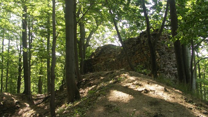 Zřícenina hradu Roimund.