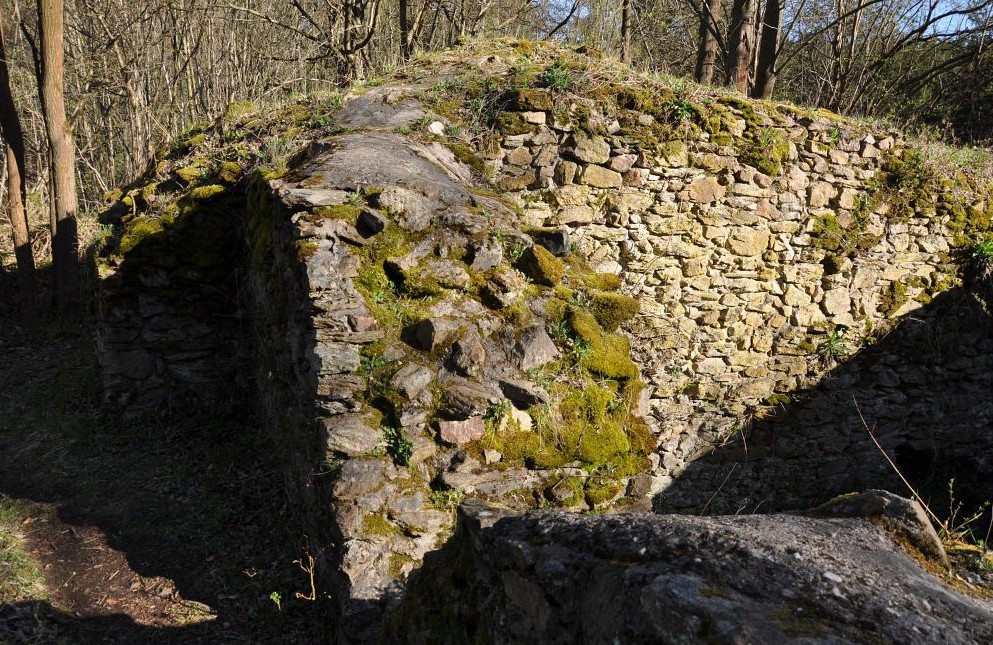 Zřícenina hradu Ronovec u Havlíčkova Brodu. Foto: Petr Fabian. Zdroj: <a href="https://www.hrady-zriceniny.cz/hrad_ronovec.htm">Hrady-zříceniny.cz</a>