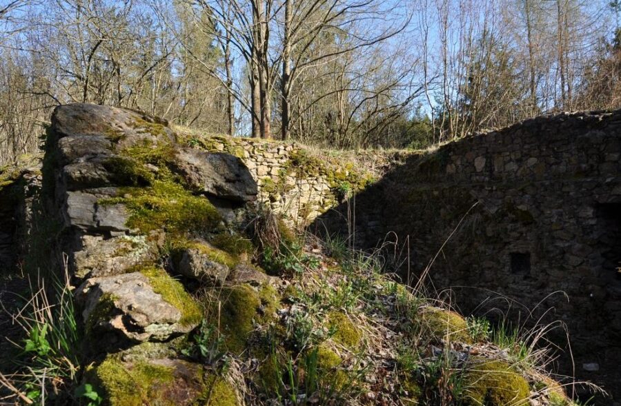 Zřícenina hradu Ronovec u Havlíčkova Brodu. Foto: Petr Fabian. Zdroj: Hrady-zříceniny.cz