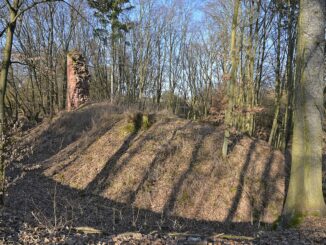 Zřícenina hradu Trmačov.