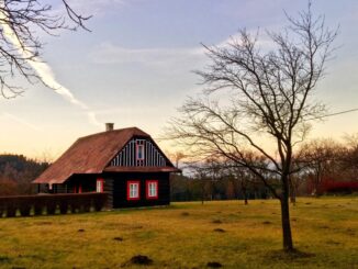 Zdroj foto: Pixabay.com